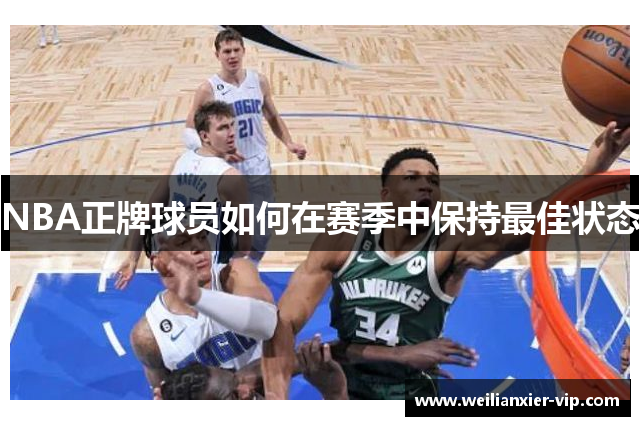 NBA正牌球员如何在赛季中保持最佳状态