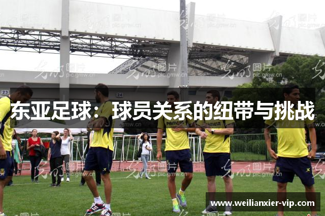 东亚足球：球员关系的纽带与挑战