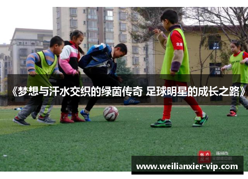 《梦想与汗水交织的绿茵传奇 足球明星的成长之路》