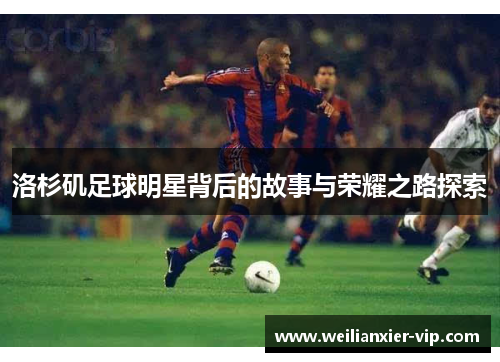洛杉矶足球明星背后的故事与荣耀之路探索