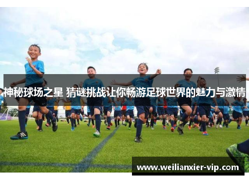 神秘球场之星 猜谜挑战让你畅游足球世界的魅力与激情