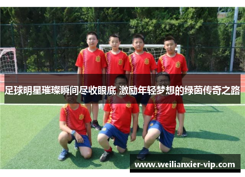 足球明星璀璨瞬间尽收眼底 激励年轻梦想的绿茵传奇之路