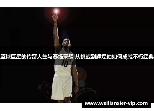 篮球巨星的传奇人生与赛场荣耀 从挑战到辉煌他如何成就不朽经典
