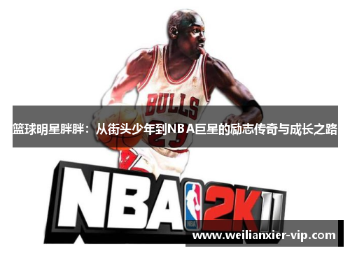 篮球明星胖胖：从街头少年到NBA巨星的励志传奇与成长之路