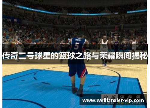 传奇二号球星的篮球之路与荣耀瞬间揭秘